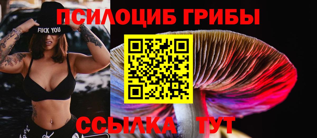 Галлюциногенные грибы прущие грибы Комсомольск-на-Амуре